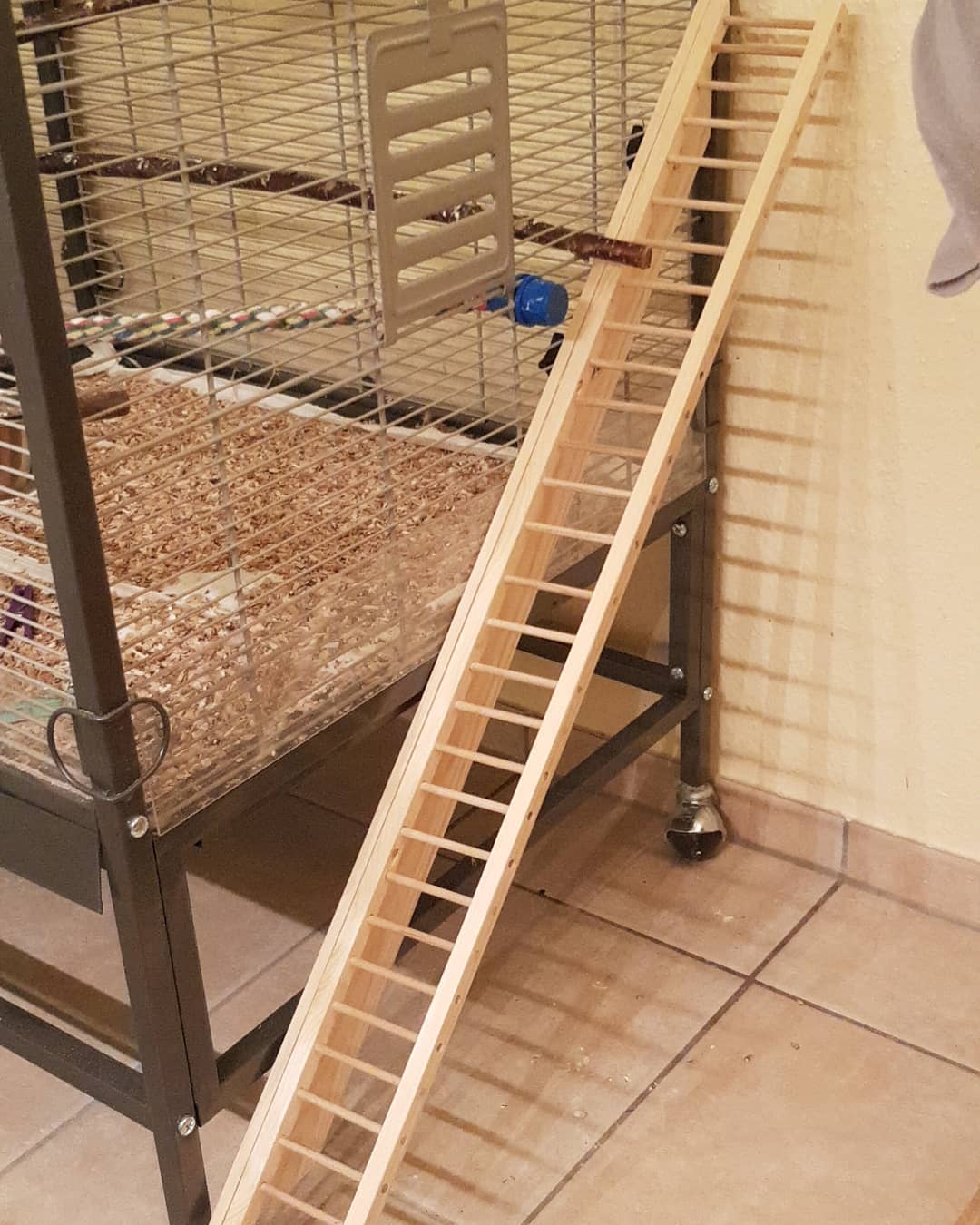 49719500 2160187634046842 7890732298671226880 o