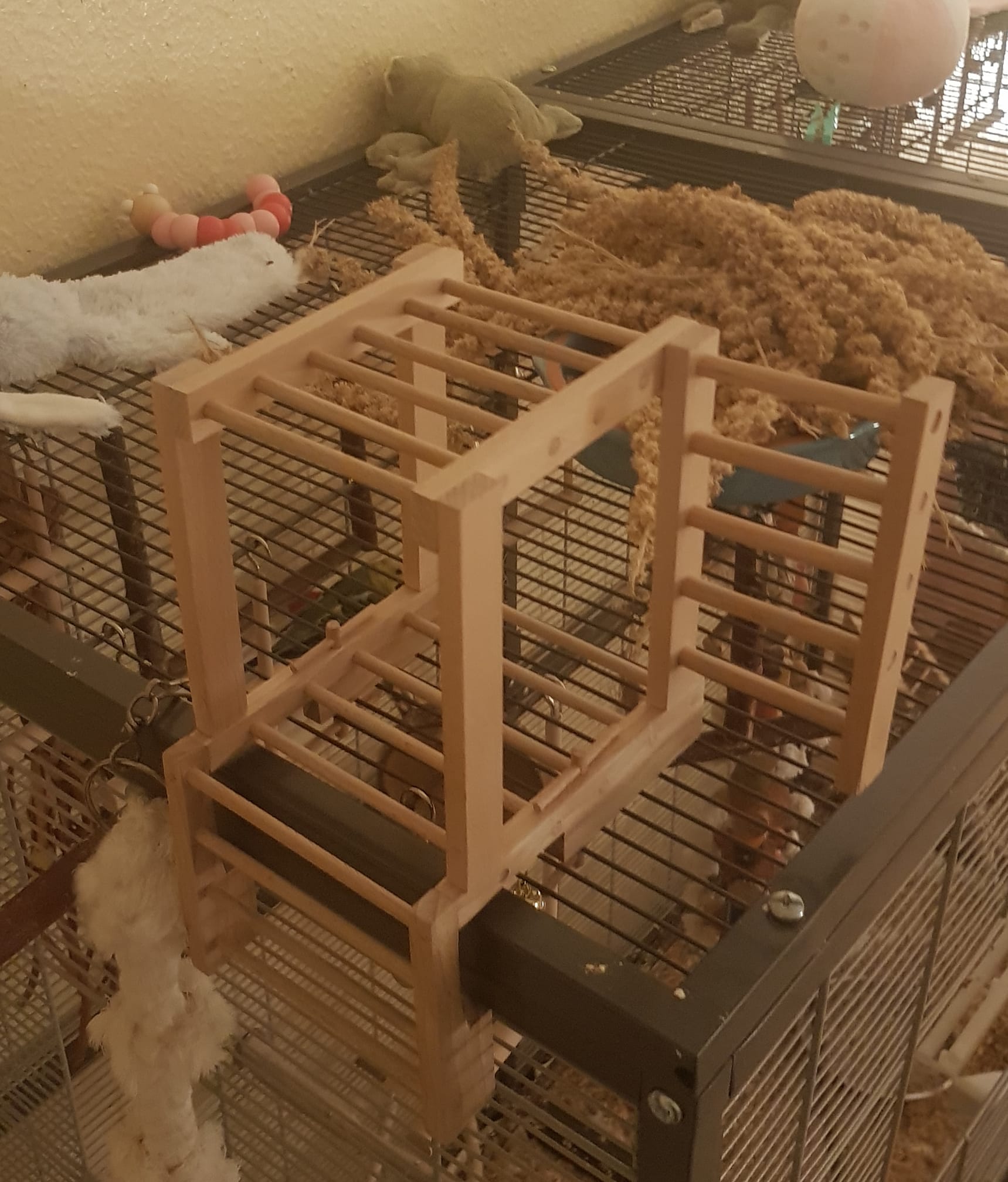 74607663 2684422408290026 1841080964571201536 o 1