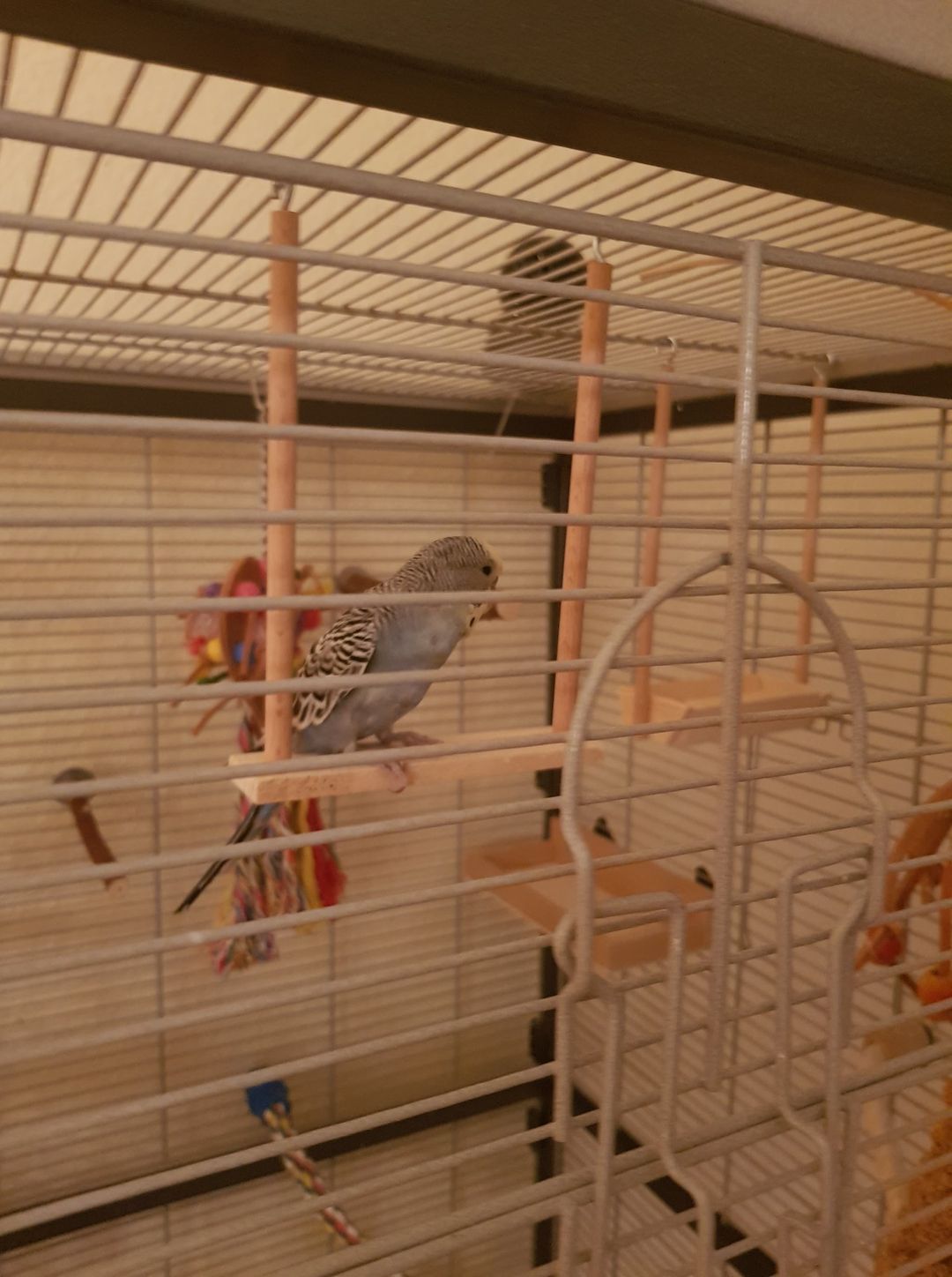 82920044 2878929732172625 5401899497687089152 o