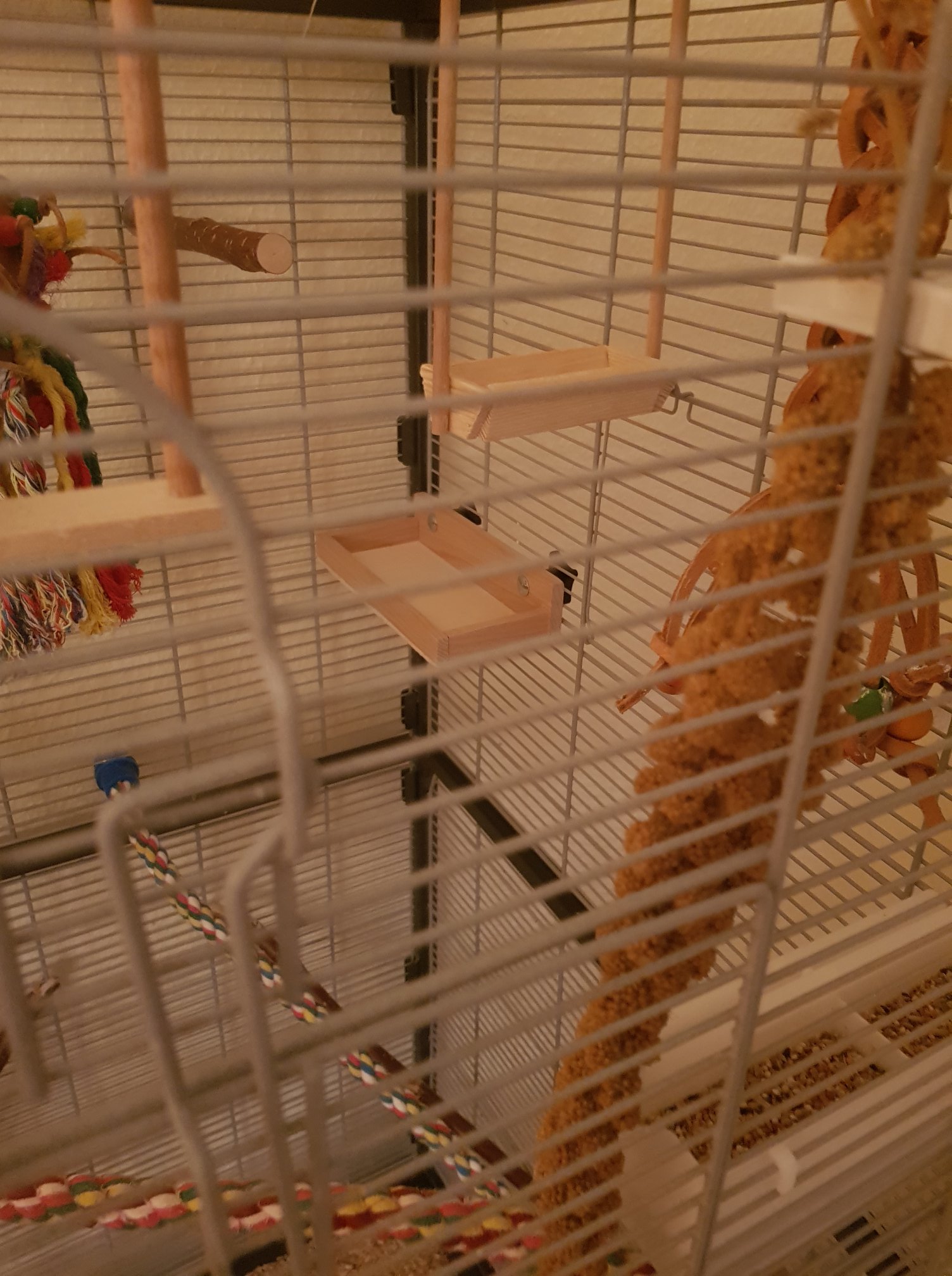 82983123 2876822985716633 9180408950711910400 o 1