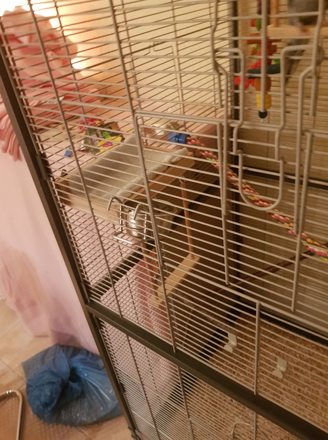 83856553 2878929838839281 1964197026744762368 o